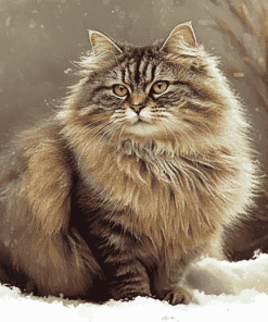 Fluffy Siberian Kitty Diamond Painting