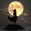 Full Moon Silhouette Diamond Painting