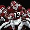 Gamecocks Football Legacy Diamond Painting