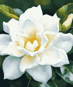 Gardenia Blossoms Diamond Painting