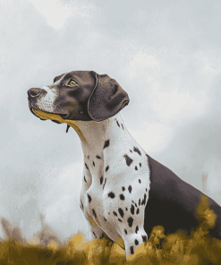 German Shorthair Puppy Diamond Painting