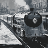 Golden Arrow Monochrome Train Diamond Painting