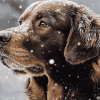 Golden Retriever in Snow Diamond Painting