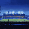 Goodison Park Night Scene Diamond Painting