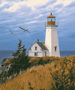 Grand Manan Lighthouse Landscape Diamond Painting