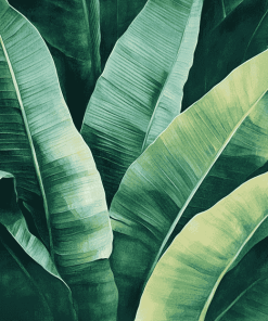 Green Banana Leaves Nature Diamond Painting