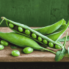 Green Peas on Wooden Table Diamond Painting