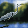 Grey Heron Bird Diamond Painting