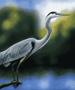 Grey Heron Bird Diamond Painting