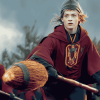 Harry Potter Quidditch Series Diamond Painting