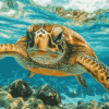 Hawaii Sea Turtle Diamond Painting