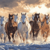 Herd of Horses Galloping Diamond Painting