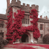 Hever Castle Wall Red Plants Diamond Painting