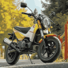 Honda Grom Riding Diamond Painting