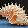 Horse Conch Seashell Diamond Painting