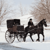 Horse-Drawn Amish Buggy Diamond Painting