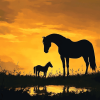 Horse Sunset Silhouette Diamond Painting