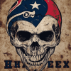 Houston Texans Skull Diamond Painting