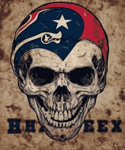 Houston Texans Skull Diamond Painting