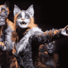 Iconic Cats Musical Diamond Painting