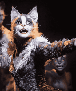 Iconic Cats Musical Diamond Painting