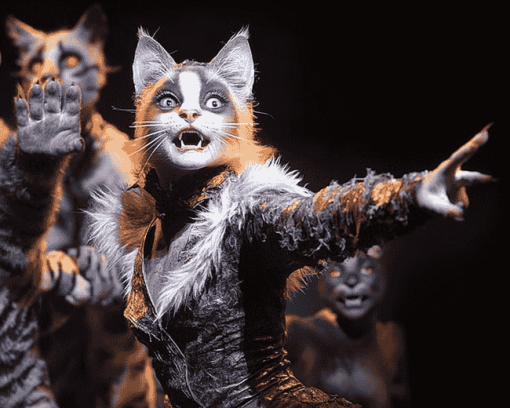 Iconic Cats Musical Diamond Painting