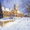 Iowa State Winter Wonderland Diamond Painting