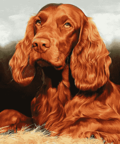 Irish Setter Puppies Diamond Painting