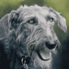 Irish Wolfhound Puppy Diamond Painting