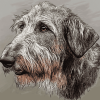 Irish Wolfhound Puppy Diamond Painting