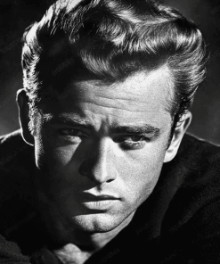 James Dean Black and White Diamond Painting