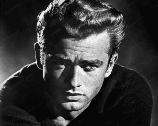 James Dean Black and White Diamond Painting