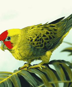 Kakariki Parrots Diamond Painting