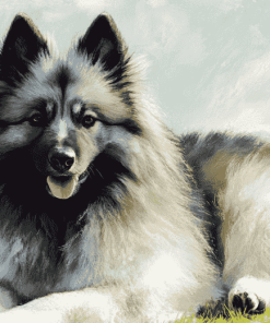 Keeshond Hound Diamond Painting