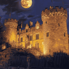 Kilkenny Castle Nightscape Diamond Painting