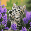 Kitten and Purple Flowers Diamond Painting