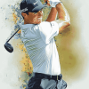 Legendary Rory McIlroy Golf Diamond Painting