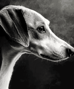 Lurcher Black and White Diamond Painting