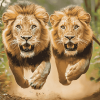 Majestic Lion Wildlife Diamond Painting