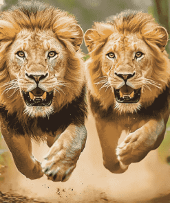 Majestic Lion Wildlife Diamond Painting