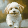 Maltipoo Puppy Diamond Painting