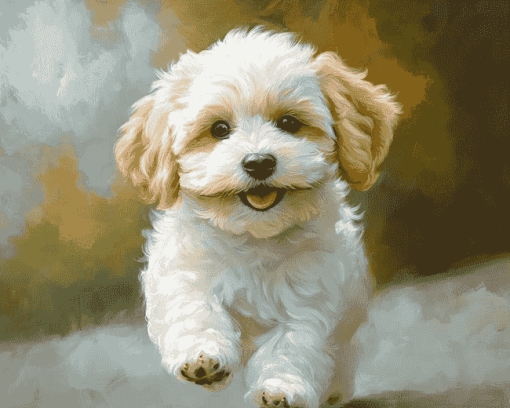 Maltipoo Puppy Diamond Painting