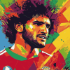 Marouane Fellaini Football Icon Diamond Painting