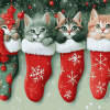 Merry Christmas Cats in Stockings Diamond Painting