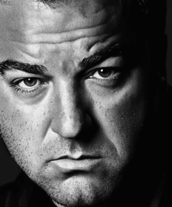 Michael Gandolfini Monochrome Diamond Painting