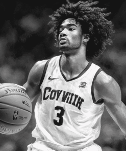 Monochrome Coby White Basketball Diamond Painting