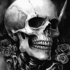 Monochrome Skull Diamond Painting