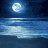 Moonlit Beach Seascape Diamond Painting