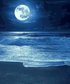 Moonlit Beach Seascape Diamond Painting