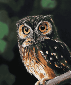 Morepork Owl Bird Diamond Painting